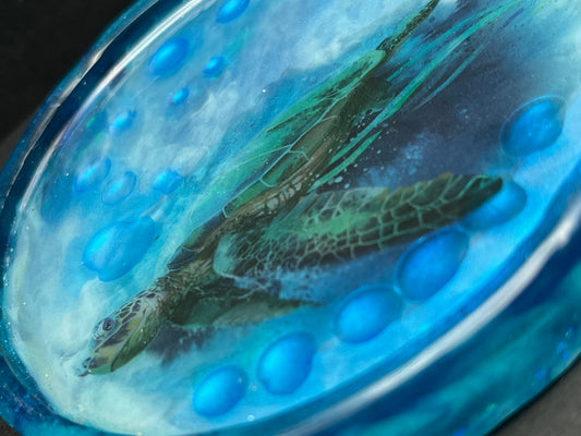 Sea turtle tray