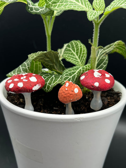 Mushroom stool for plants